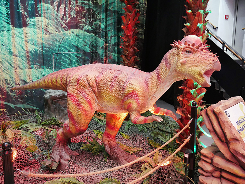 Pachycephalosaurus
