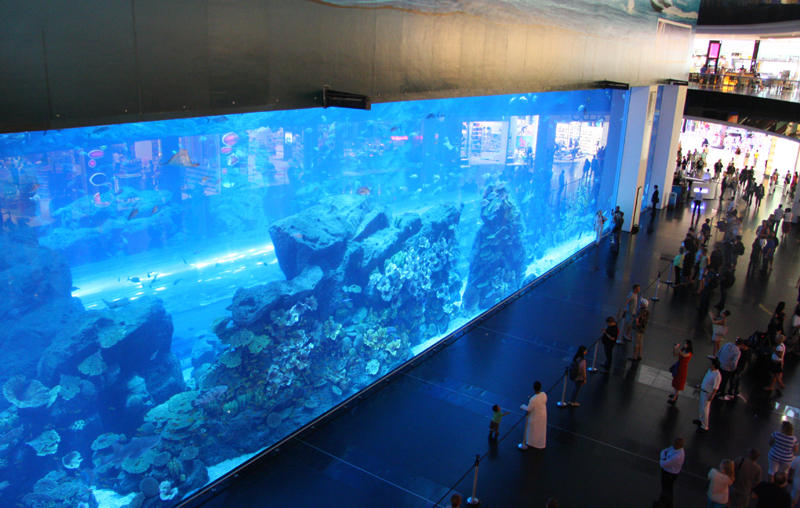 Mit 10.000 mÂ³ Wasser Inhalt das grÃ¶ÃŸte Aquarium der Welt

