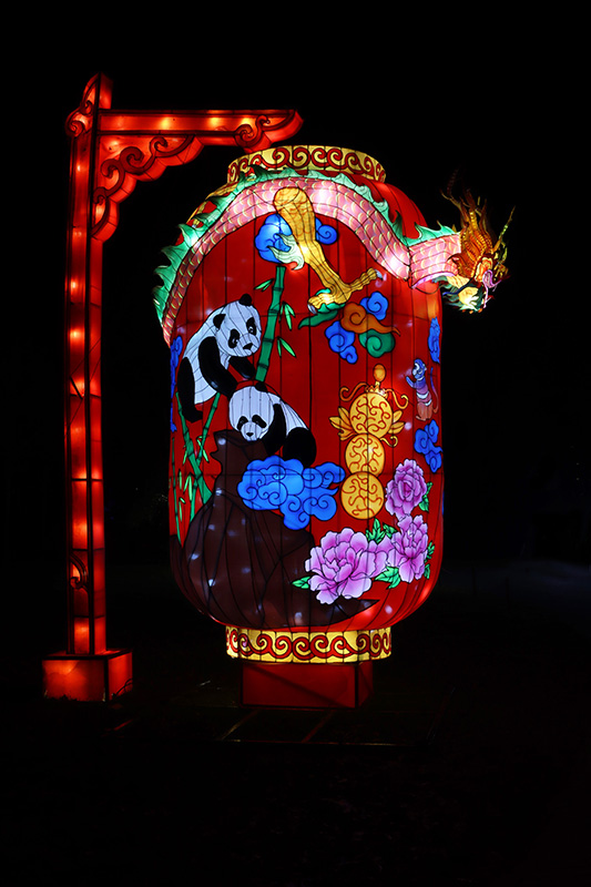 China Lights 
