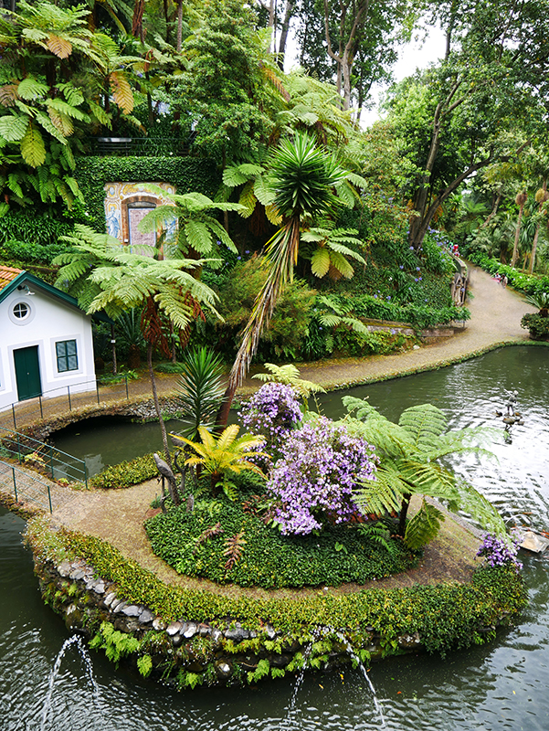 Im tropischen Garten "Jardim Tropical Monte Palace"
