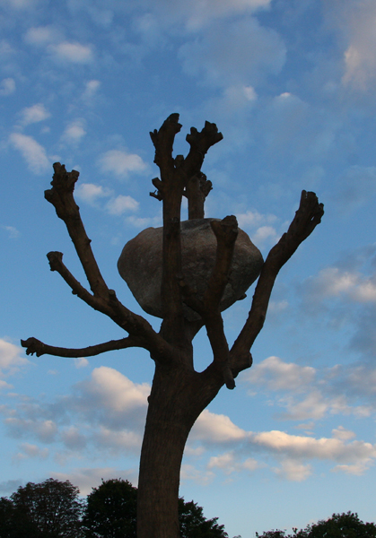 Baum mit Stein "Idee di Pietra" (fÃ¼r die Documenta 2012)
