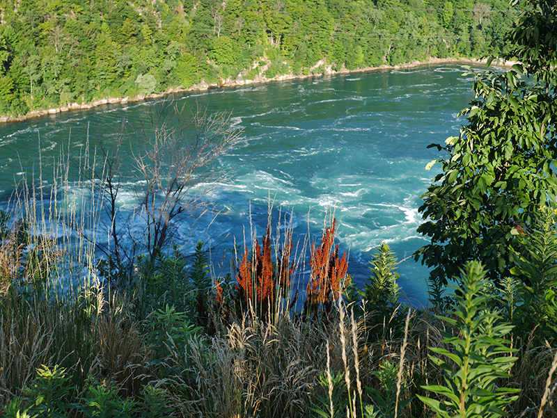 The Whirlpool - hier macht der Niagara River eine 360Â° Wendung, bevor er weiterflieÃŸt
