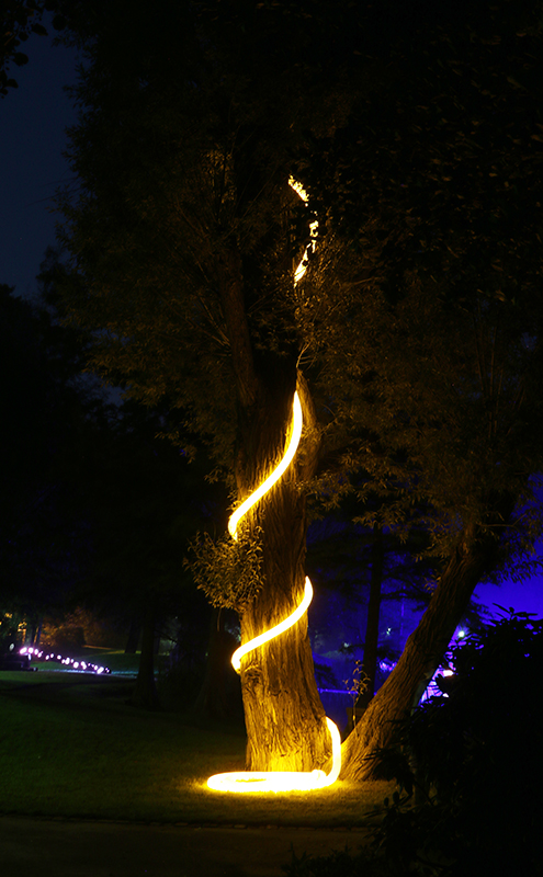 Baum mit Schlauch
