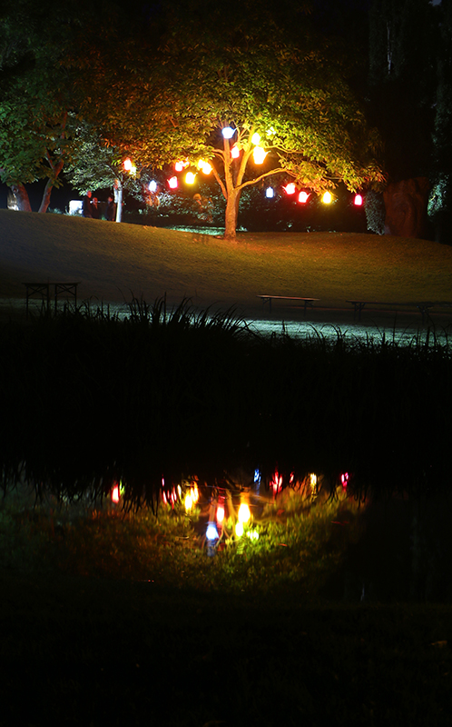 Spiegelnder GieÃŸkannen-Baum
