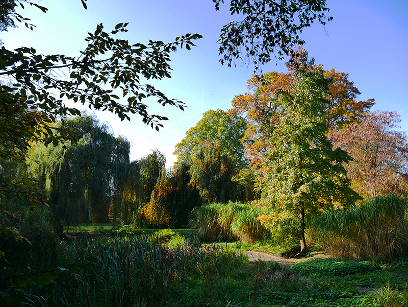 Goldener Herbst
