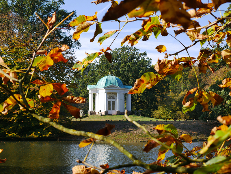 Goldener Herbst
