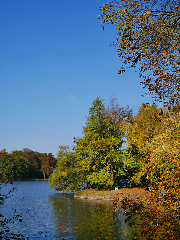 Goldener Herbst
