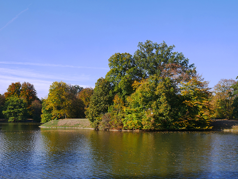 Goldener Herbst
