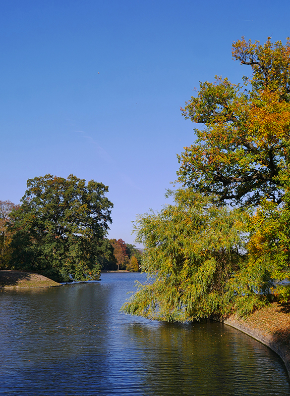 Goldener Herbst
