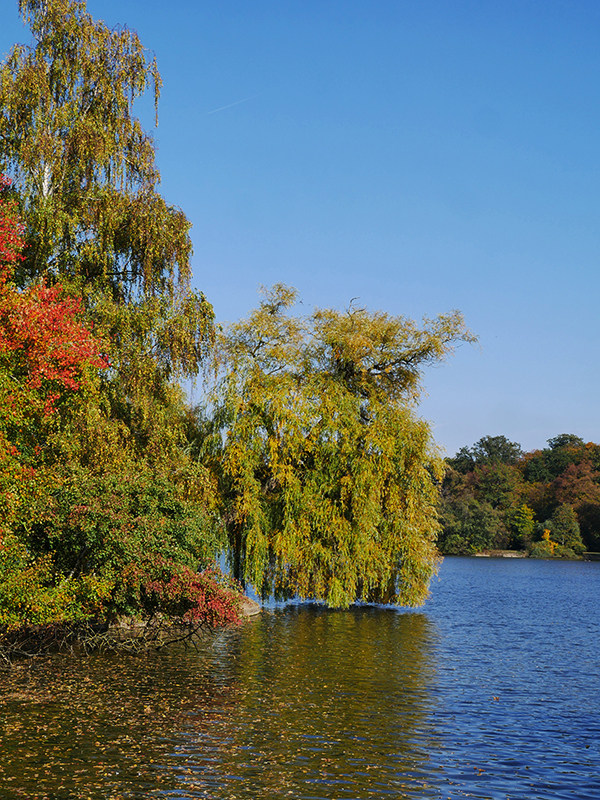 Goldener Herbst
