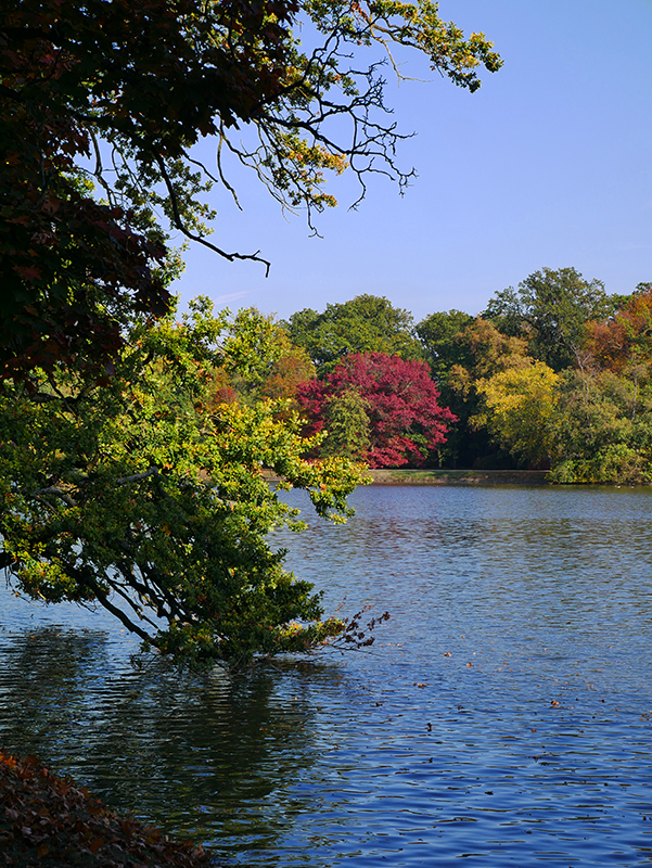 Goldener Herbst
