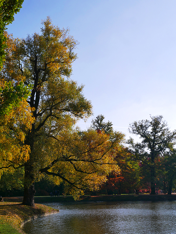 Goldener Herbst
