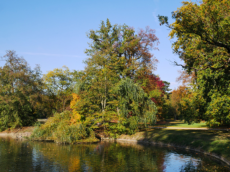 Goldener Herbst
