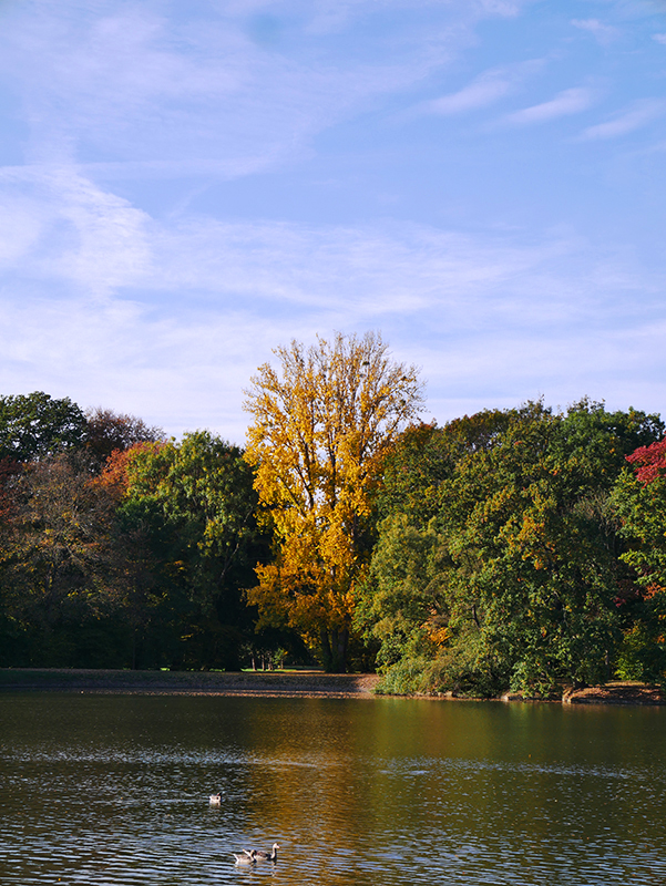 Goldener Herbst
