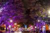 Filename=17.JPG
Filesize=370KiB
Dimensions=800x535
Date added=Oct 12, 2016 17.JPG
