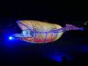 Filename=20.JPG
Filesize=280KiB
Dimensions=800x601
Date added=Oct 12, 2016 20.JPG