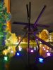Filename=40.JPG
Filesize=328KiB
Dimensions=601x800
Date added=Oct 12, 2016 40.JPG