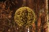 Filename=18.JPG
Filesize=235KiB
Dimensions=800x533
Date added=Dec 15, 2011 18.JPG