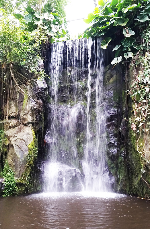 Wasserfall
