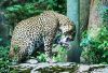 Filename=49.JPG
Filesize=663KiB
Dimensions=800x547
Date added=Jun 16, 2017 49.JPG
