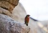 Filename=54.JPG
Filesize=353KiB
Dimensions=800x552
Date added=Jun 16, 2017 54.JPG