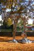Filename=13.JPG
Filesize=835KiB
Dimensions=539x800
Date added=Oct 21, 2012 13.JPG