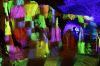 Filename=13.JPG
Filesize=614KiB
Dimensions=800x533
Date added=Apr 06, 2014 13.JPG