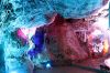 Filename=21.JPG
Filesize=728KiB
Dimensions=800x533
Date added=Apr 06, 2014 21.JPG
