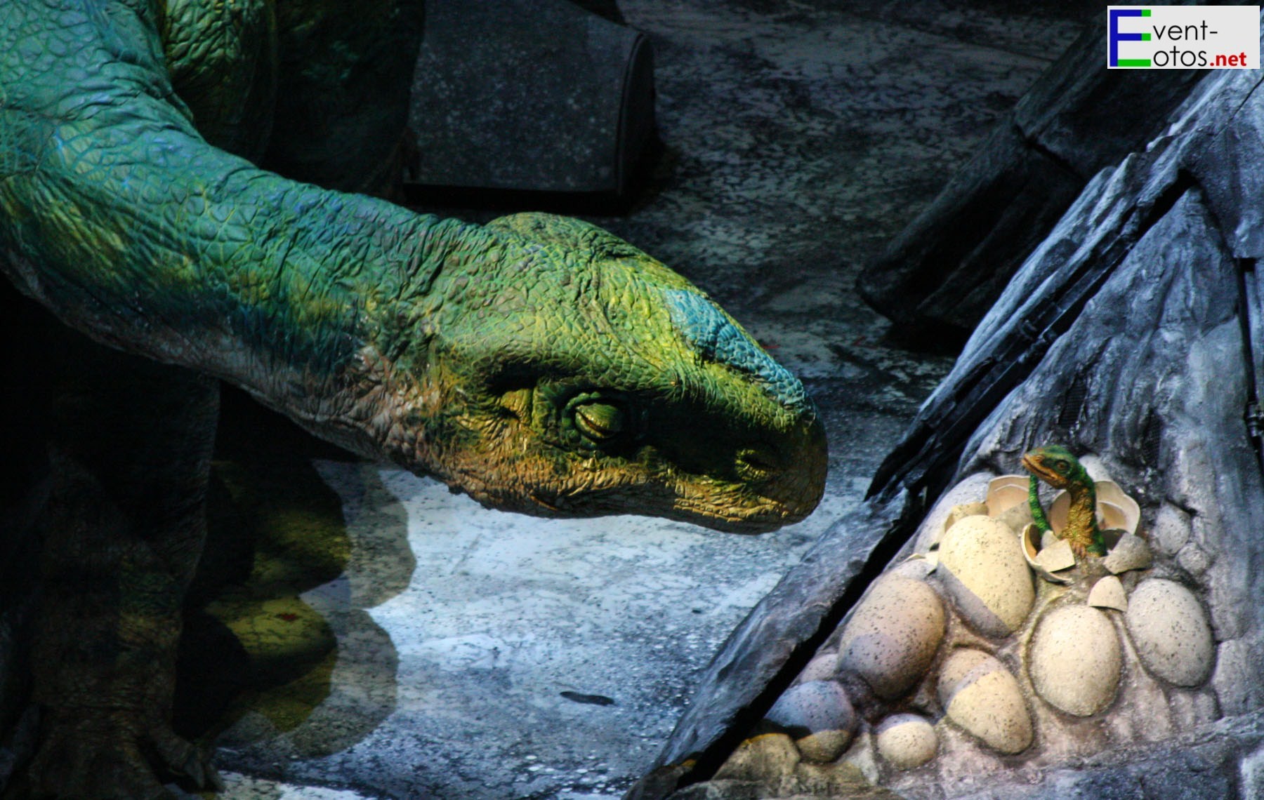 Mama Plateosaurus beobachtet das SchlÃ¼pfen der Kleinen
