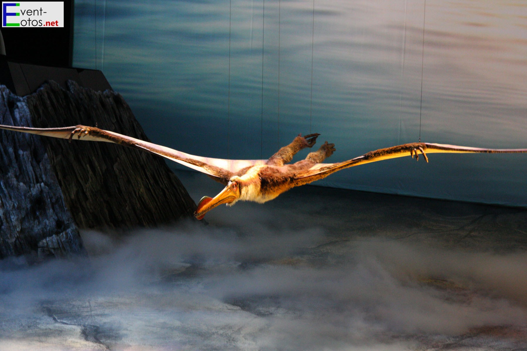 Ornithocheirus
