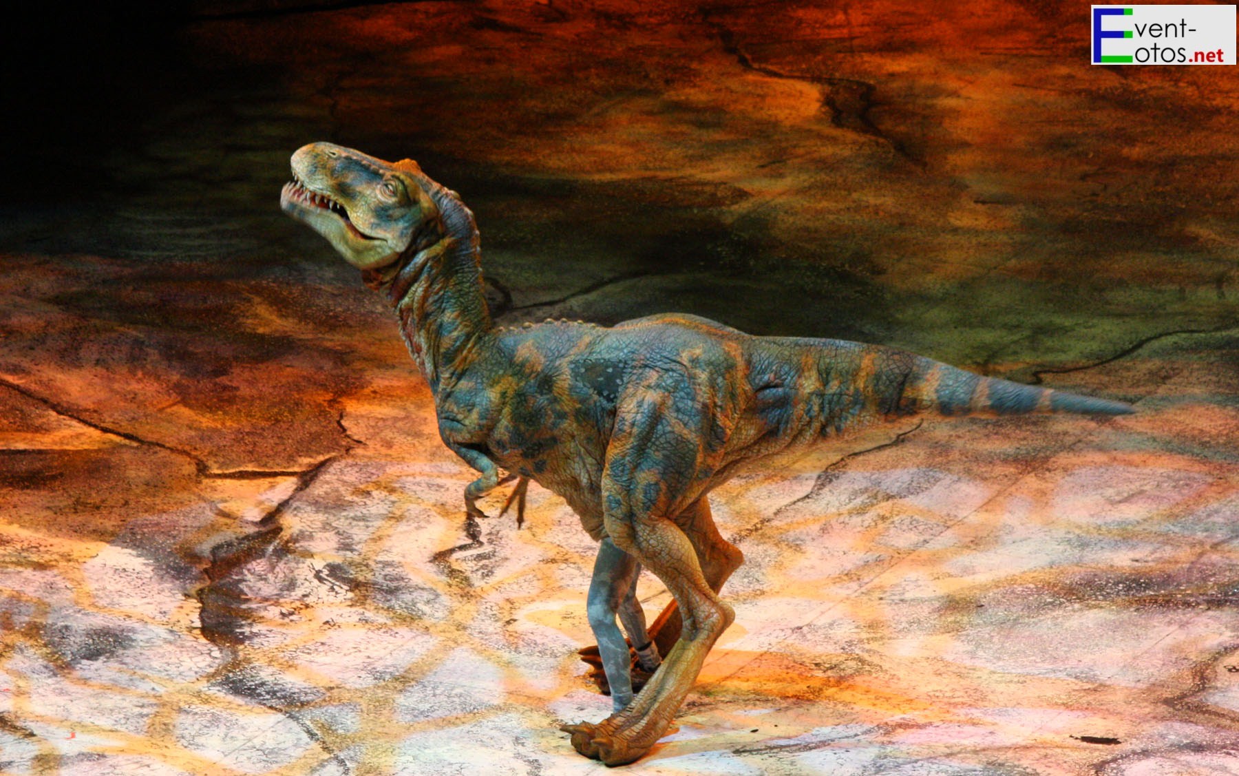 Baby-T-Rex
