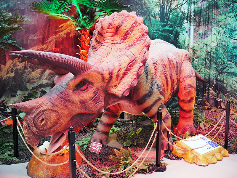 Triceratops 
