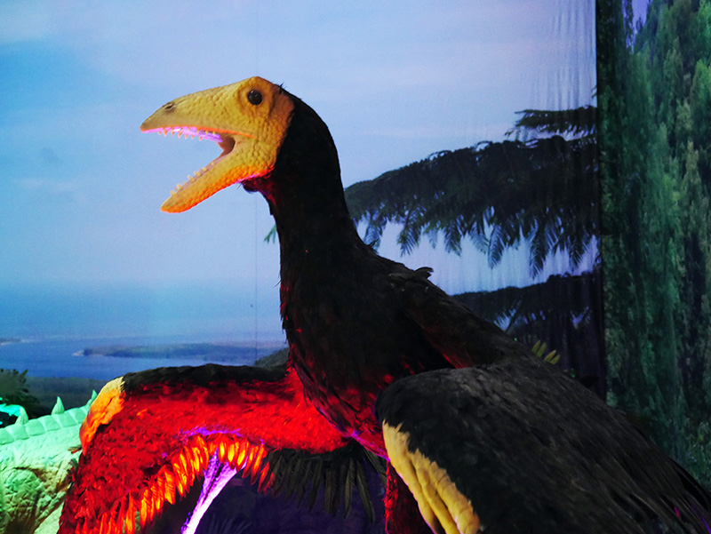 Microraptor
