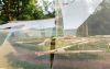 Filename=22.jpg
Filesize=426KiB
Dimensions=800x509
Date added=Aug 10, 2017 22.jpg