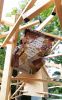 Filename=42.jpg
Filesize=489KiB
Dimensions=500x800
Date added=Aug 10, 2017 42.jpg