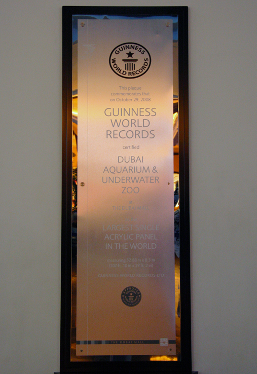 Die Weltrekord-Auszeichnung von Guinness 
