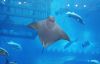 Filename=20.JPG
Filesize=426KiB
Dimensions=800x518
Date added=Oct 07, 2012 20.JPG