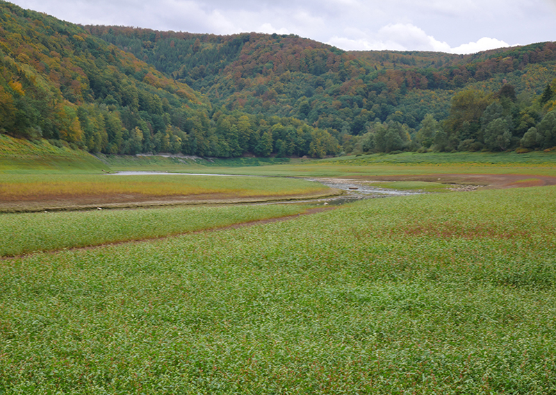 Trockengelegter Edersee
