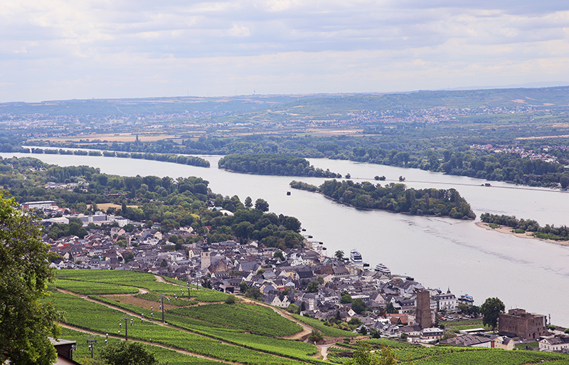 Blick auf RÃ¼desheim am Rhein
