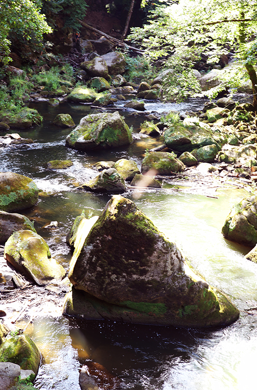 An den Irreler WasserfÃ¤llen
