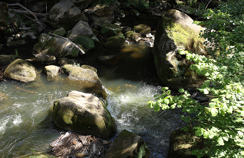 An den Irreler WasserfÃ¤llen
