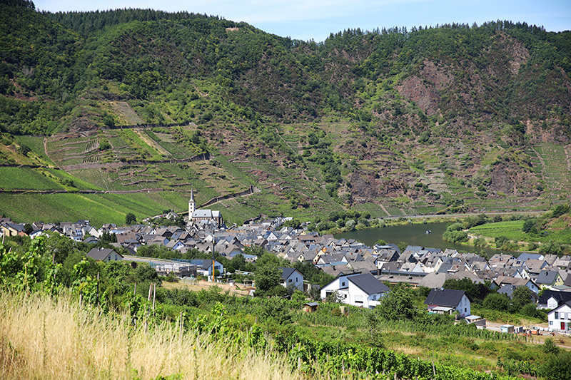 Moselschleife Bremm
