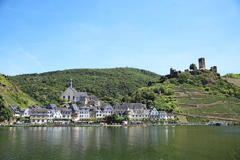 Ruine Metternich
