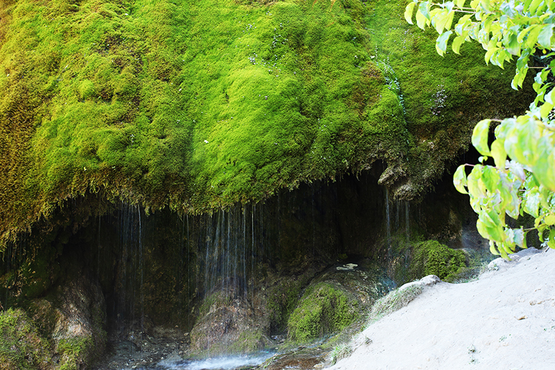 Am DreimÃ¼hlenwasserfall, nahe NÃ¼rburgring
