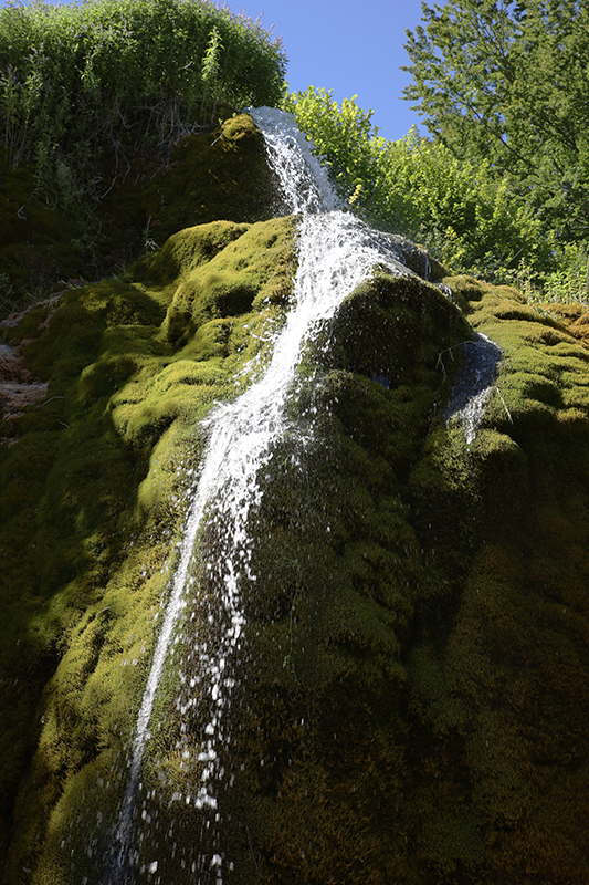 Am DreimÃ¼hlenwasserfall, nahe NÃ¼rburgring
