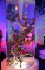 Filename=24.JPG
Filesize=463KiB
Dimensions=513x800
Date added=Jan 31, 2012 24.JPG