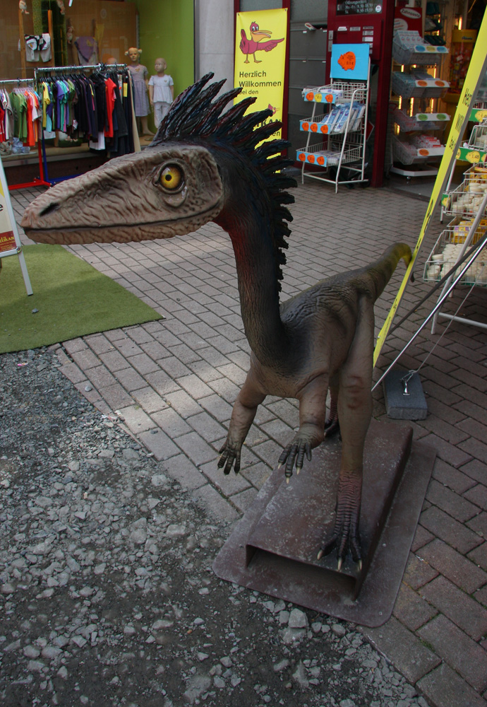 Troodon
