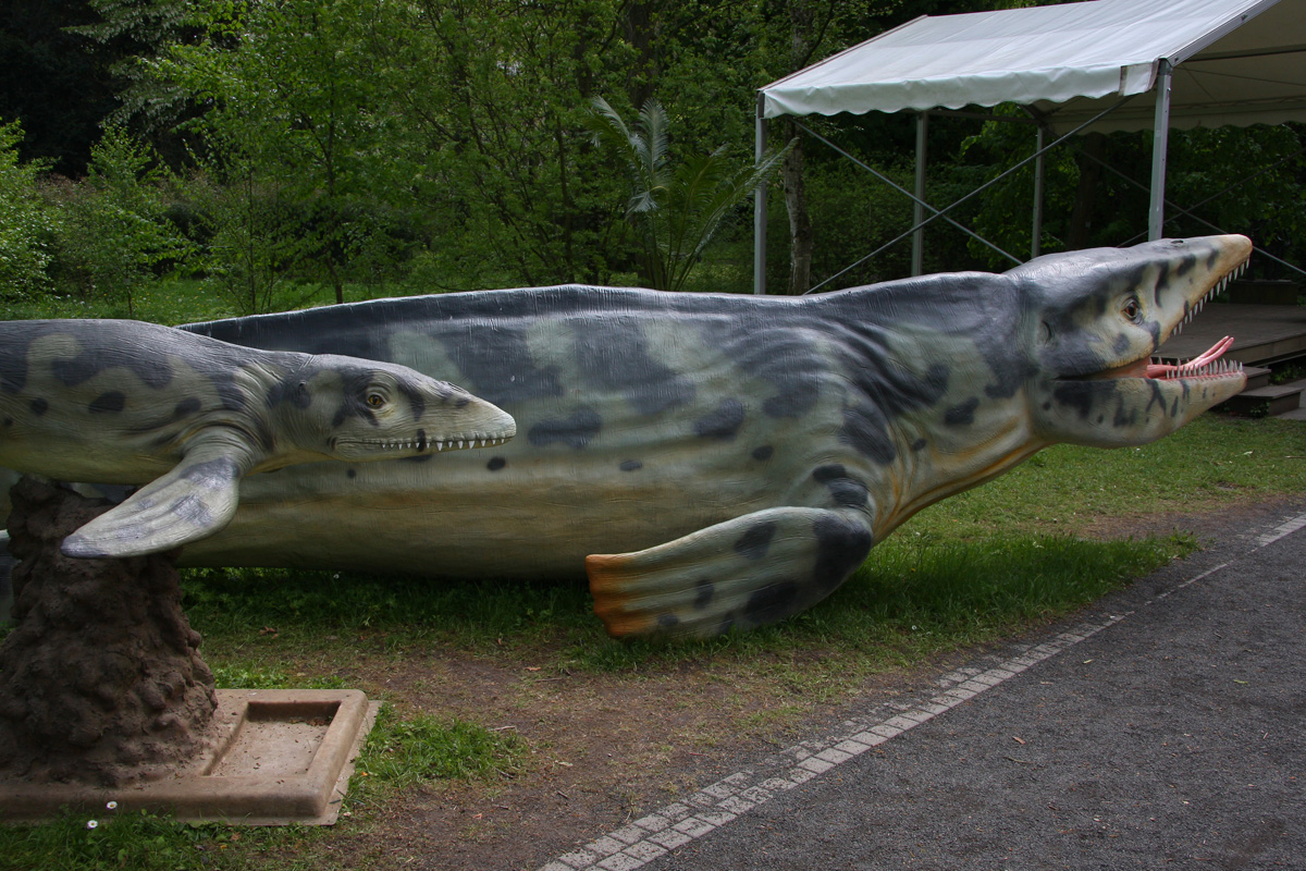 Tylosaurus
