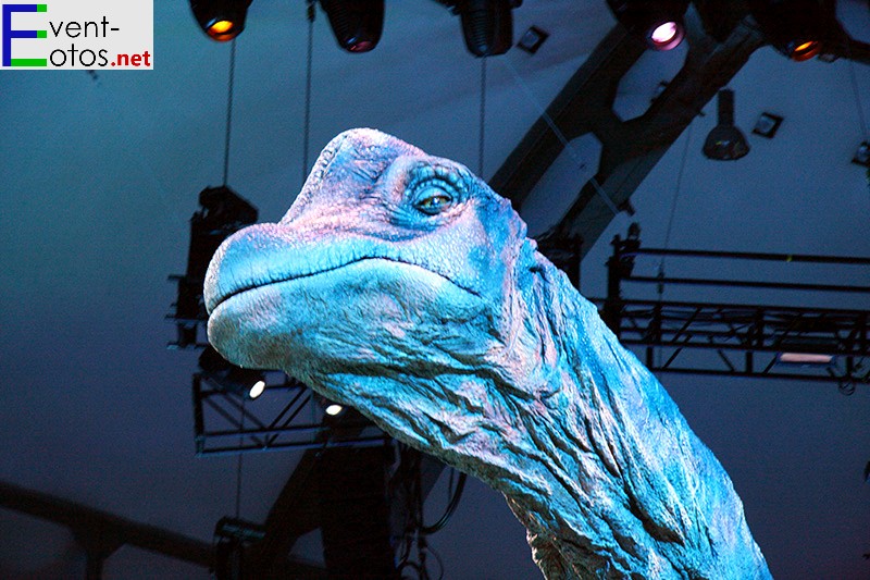 Brachiosaurus - 11m hoch und 17m lang
