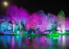 Filename=17.JPG
Filesize=315KiB
Dimensions=800x569
Date added=Oct 31, 2017 17.JPG